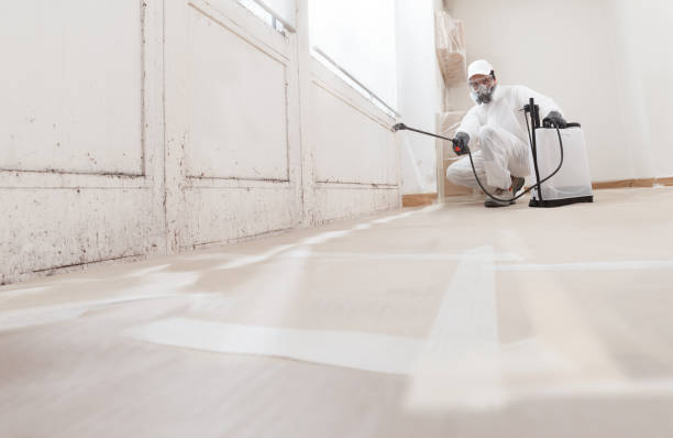 24/7 Emergency Basement Mold Remediation experts in Madison, TN